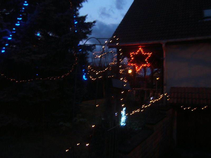 Ma passion aussi c'est noël DSCF1391